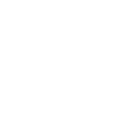diploma icon-01